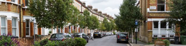 Auction Sales & Purchases